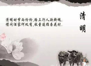 清明发表的说说