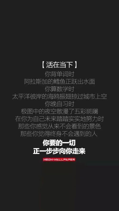 抖音上优美的句子