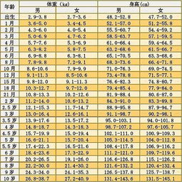 正常13岁有多高？