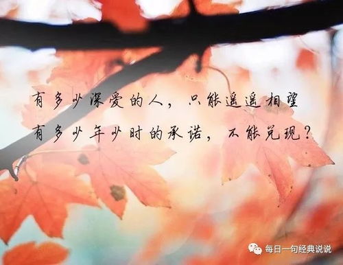 母亲节的句子经典语录