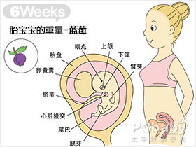 怀孕六个月要注意什么？