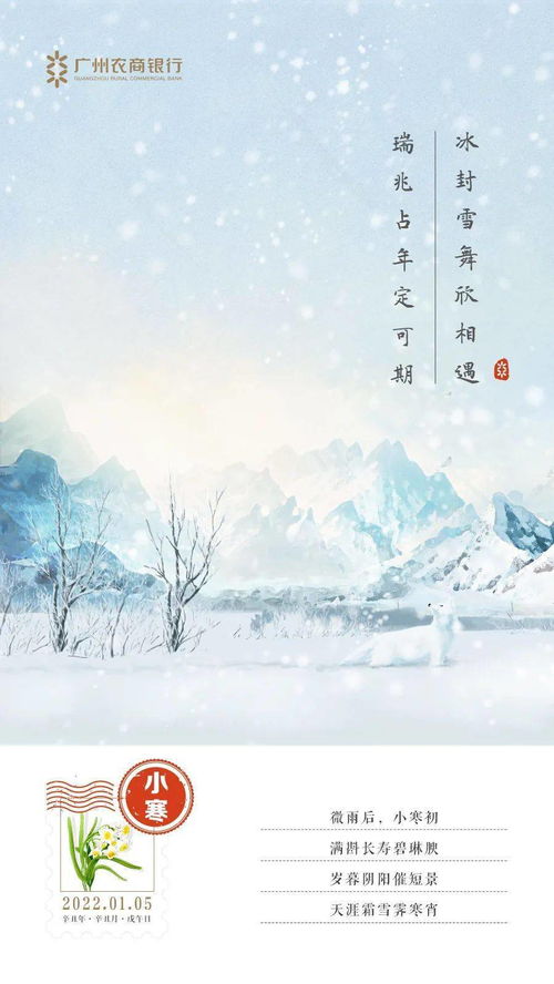 下雪禅意的句子