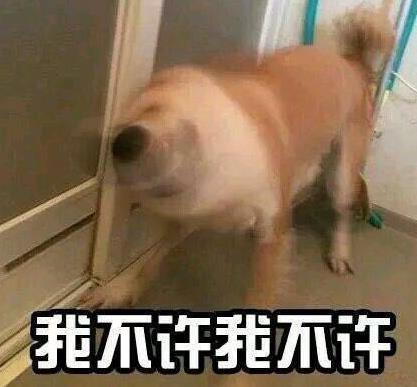 猝不及防的撩人情话