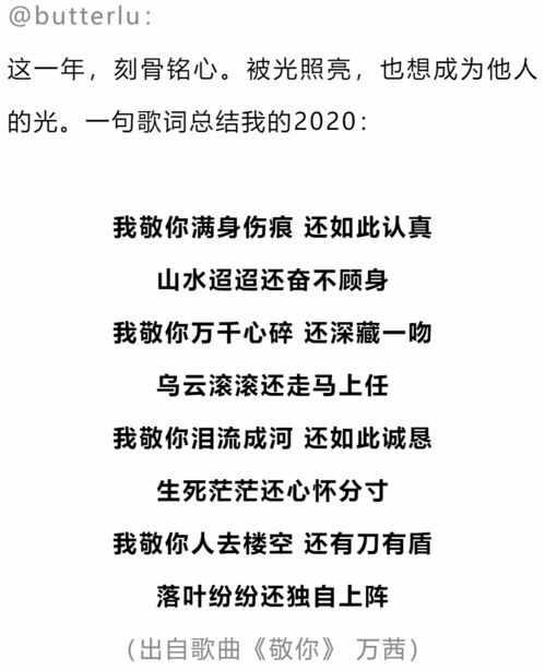 2020年总结自己的一句话