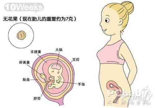 10周大的宝宝在语言方面的发育情况？