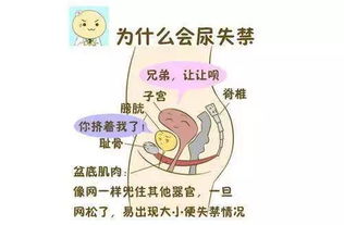 女性胎停育越来越多,这些小事孕妈要注意了吗