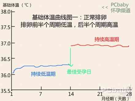 基础体温高温期正常多少天