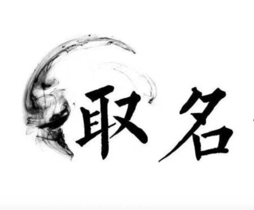 取名，魏善（），富贵好听的，名字