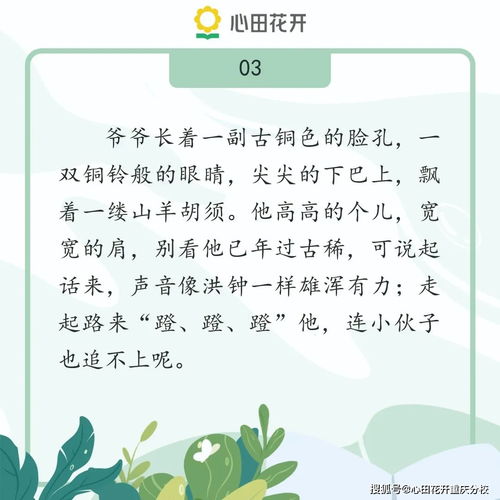 童年中的好词好句摘抄大全