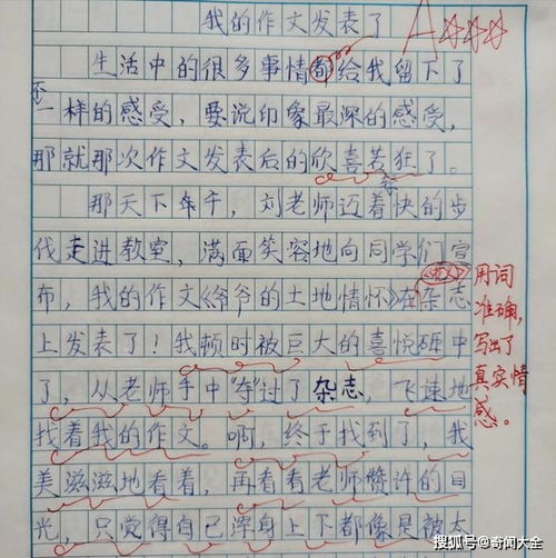 再见了，老师作文500字