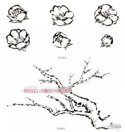 怎样用铅笔画出烟花的效果