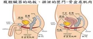 前列腺切除术后对性生活有影响吗