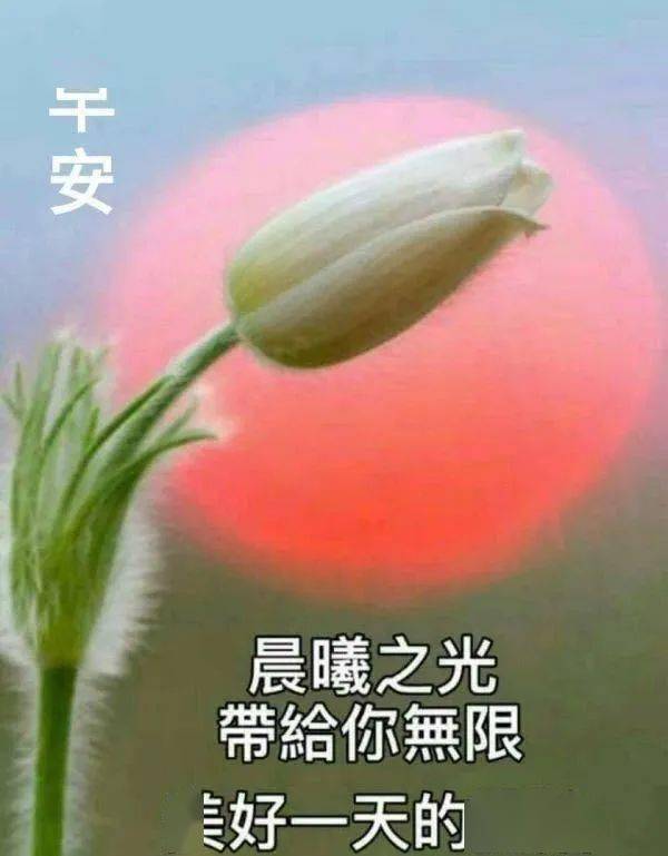 早安晚安祝福语大全