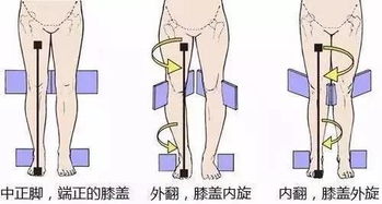 肱骨股骨短会影响身高吗