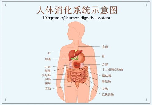 验血验尿能验出前列腺炎吗