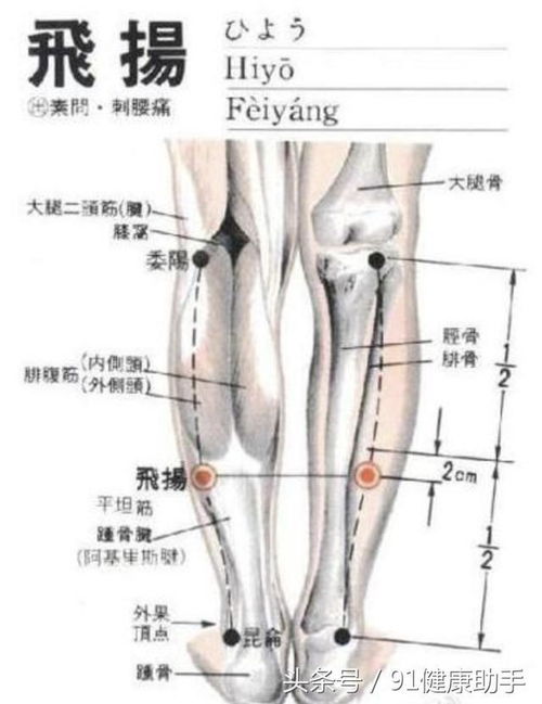 小儿咳嗽流鼻涕按摩哪些穴位