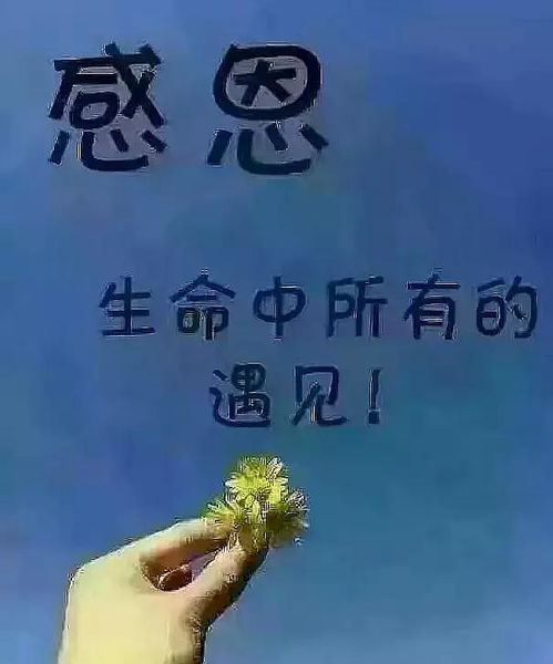 感谢相遇的文案短句