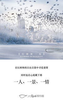 下雪文案短句干净治愈