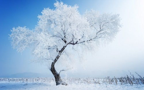 下雪文案短句干净治愈