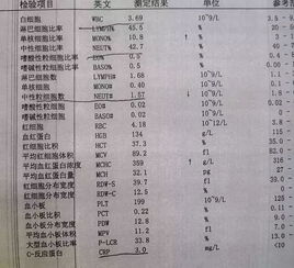 一般细菌涂片检查十图文报告，和细菌培养是一样的吗