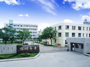 广州金莎学院