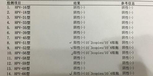 hpv高危亚型33阳性