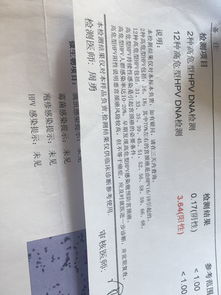 hpv高危亚型33阳性