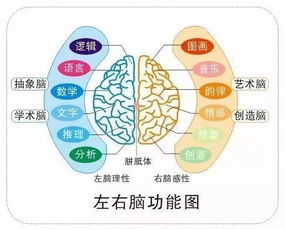 我11岁发育。