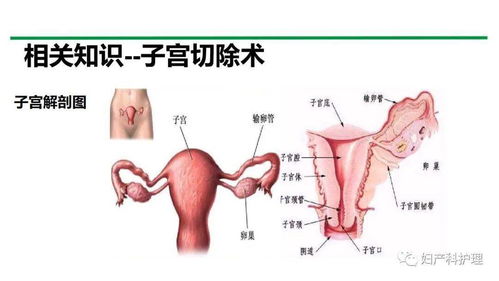 孕晚期胎盘早剥的症状有哪些表现