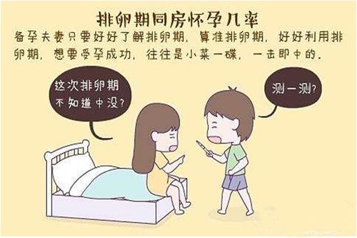 怎么可以提高生双胞胎的几率