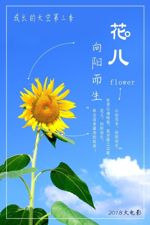 2020这一年的收获与感想