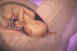 怀孕后身体各个部位有什么变化
