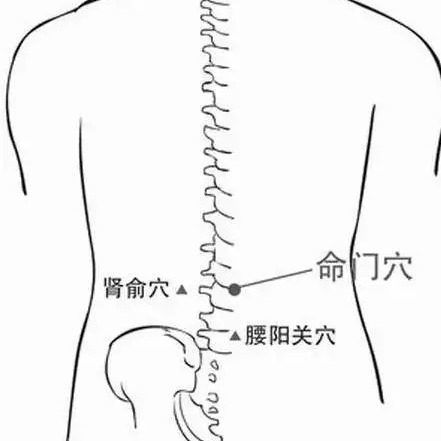 宫寒不孕能治好吗