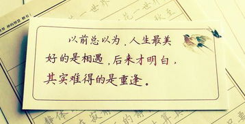 2022年最火的的句子
