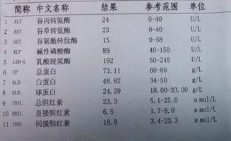 tct检查说炎症反应性细胞改变是什么意思