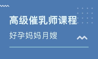 北京初三物理去哪补习最好/一对一培训机构电话多少