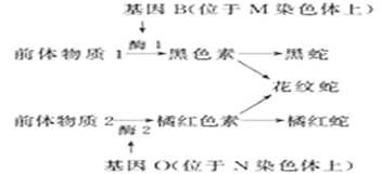 解析14个遗传怪现象