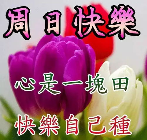 早上好的微信图片 祝福