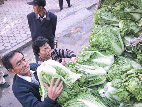 长豆角是白色的好还是绿色的好