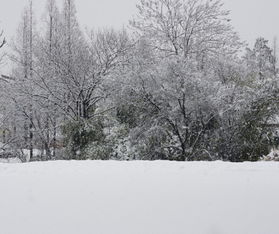 孕妇梦见雪是什么征兆女性