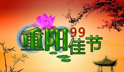 跨年创意祝福语录[共120句