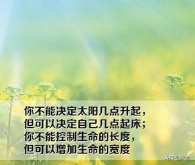 人生感悟的句子励志短句