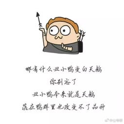 养生朋友圈发的说说