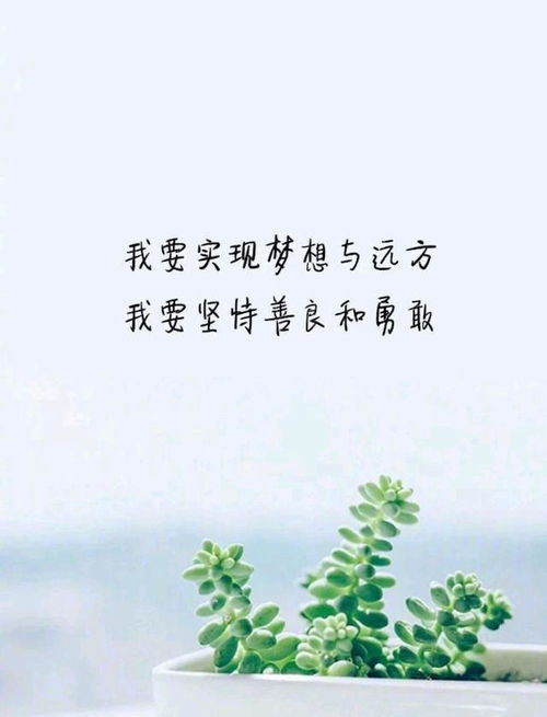 清明节的优美句子短句