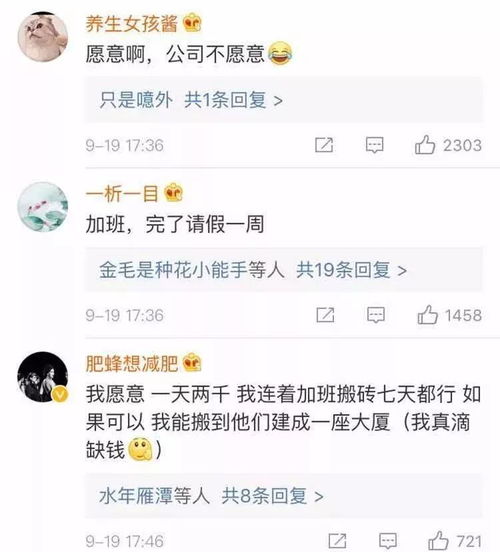 老板对你说，做完事情你就玩手机看电影没人说你。可老板一直和工人忙着，你手头并没有事做，你会？