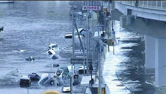 4·11日本福岛地震的地震经过