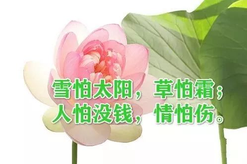 冬至文案暖心朋友圈[共计108段怎么写