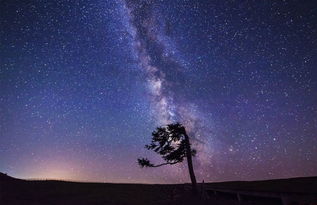 星空下的童年好词好句好段