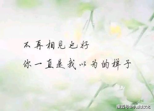 爱情感悟的句子伤感短句