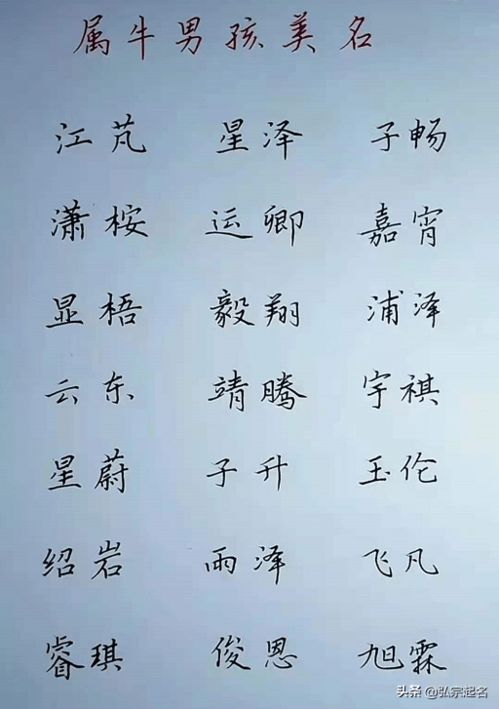 男孩。带木字旁的有什么好名字？双名的